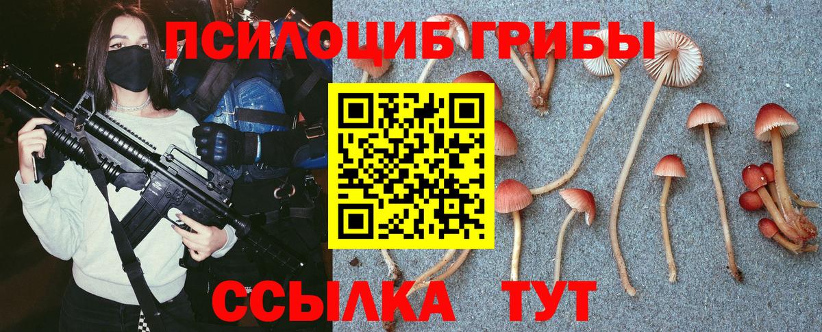 Псилоцибиновые грибы GOLDEN TEACHER Тверь
