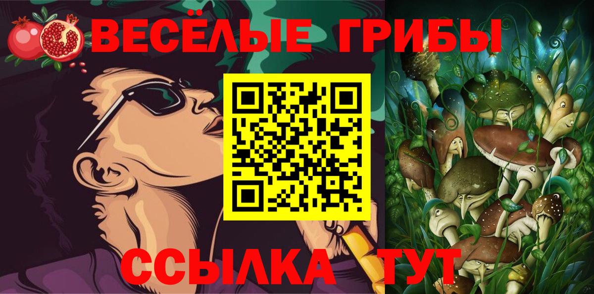 Псилоцибиновые грибы Psilocybe  Вход с VPN  Тверь 